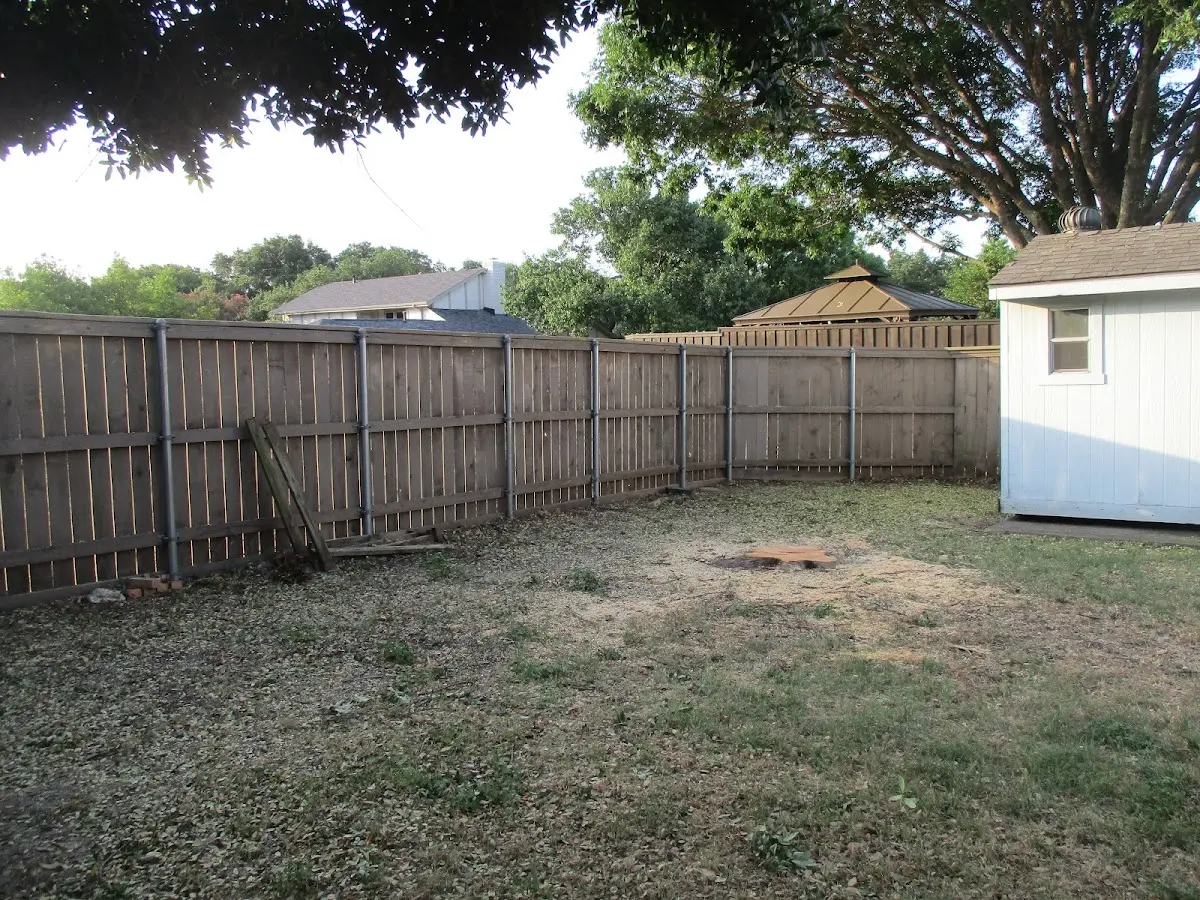 Cleared yard after professional tree removal in Lewiston